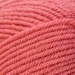 11227_Koral_221
