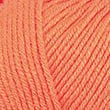 04570_Orange_86