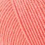 01469_Salmon_67