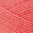 11201_Coral_28