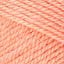 02525_Salmon_217