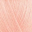 11935_Salmon_28