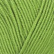 03330_Pistachio_198