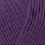 10679_Grape_235