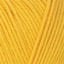 06949_Yellow_206