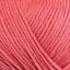 11037_Coral_49