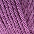 01048_Orchid_210