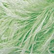 03668_Pistachio_157