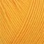 04674_Orange Daffodil_182