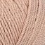 10722_Sea Shell_181