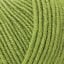 10268_Leaf Green_235