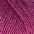01302_Fuchsia_232