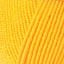 04674_Orange Daffodil_67