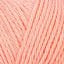 03148_Salmon_181