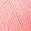 02525_Salmon_28