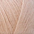 10722_Sea Shell_4