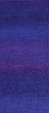 07938_7026_126