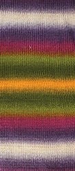 87637_444880_234
