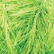 3156_Neon Yesil_157