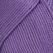 003756_VIOLET_364